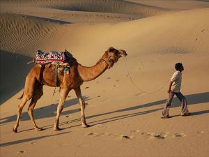 Jaisalmer Tour Package